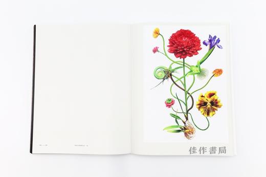 植物図鑑Ⅵ / Encyclopedia of Flowers VI / 植物图鉴 6 商品图4