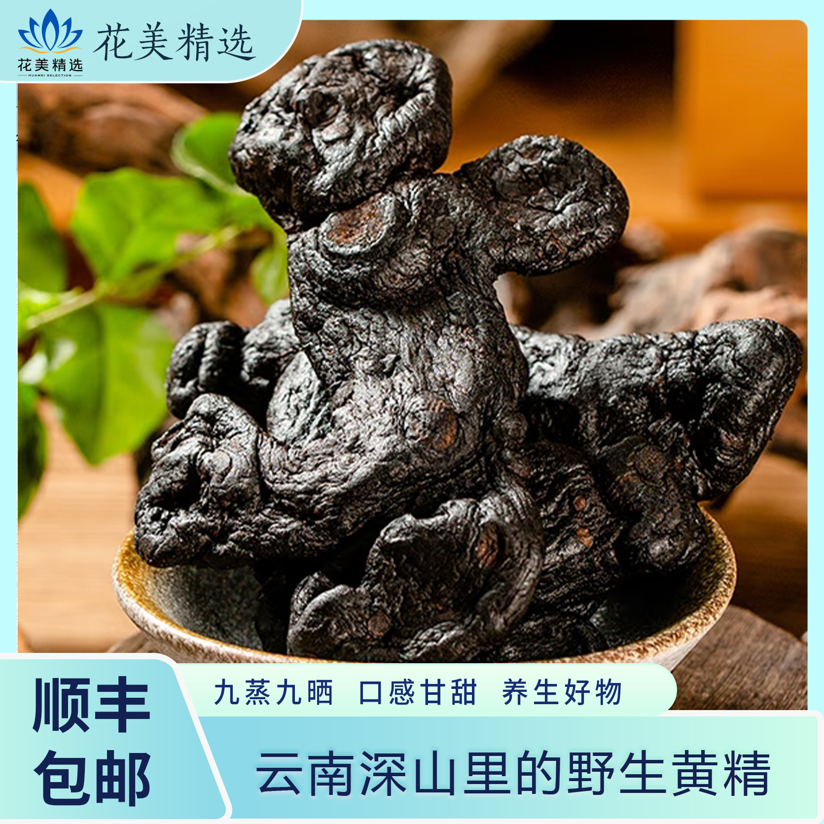 云南深山里的野生黄精 九蒸九晒 顺丰包邮