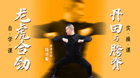 龙虎合劲（自学课程）+丹田与胯脊劲（实操课程）