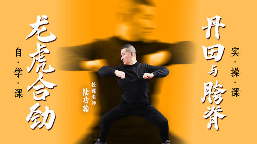 龙虎合劲（自学课程）+丹田与胯脊劲（实操课程） 商品图0