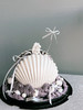 「女士」贝壳仙女蛋糕 商品缩略图1