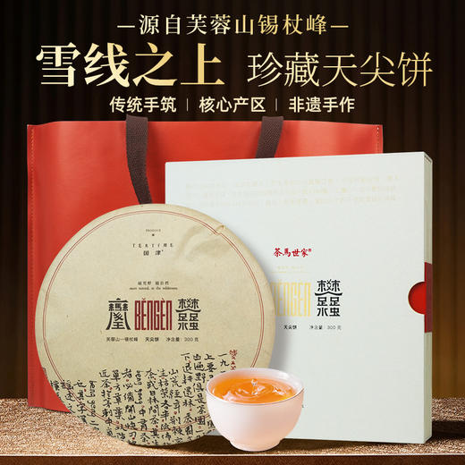 茶马世家 荒野天尖 芙蓉主峰产区 安化黑茶一级300g 礼赠佳品 商品图0