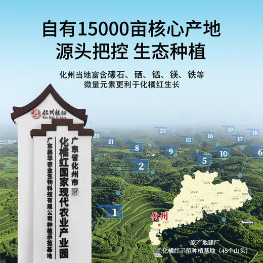 橘御医化橘红发酵浓缩液化州正宗官方正品免煮开瓶即饮【浓缩液】 240ml*1盒 商品图4