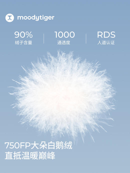 2025男童连帽羽绒服54110706【专属】 商品图3