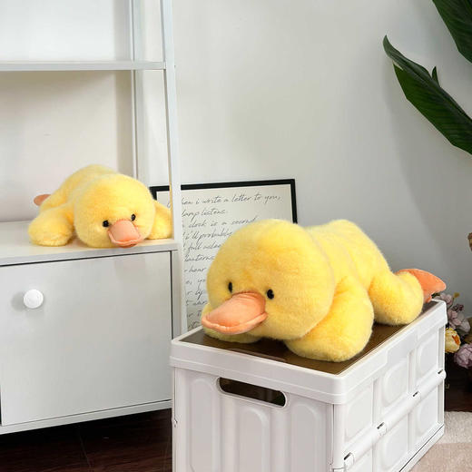 趴趴鸭鸭 商品图1