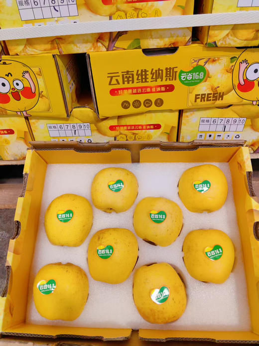维纳斯苹果8个装 商品图10