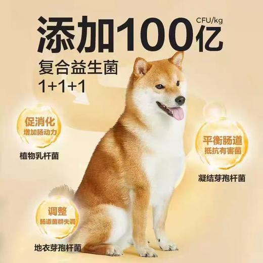 网易严选 全价三拼犬粮 商品图3