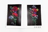 植物図鑑Ⅵ / Encyclopedia of Flowers VI / 植物图鉴 6 商品缩略图1