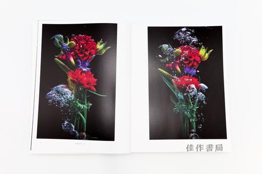 植物図鑑Ⅵ / Encyclopedia of Flowers VI / 植物图鉴 6 商品图1