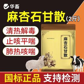 华畜麻杏石甘散兽用兽药猪药猪用牛羊鸡药肺炎咳喘清肺止咳呼吸道