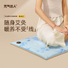 元气达人 艾灸坐垫垫蒲团热敷包充电款可移动 商品缩略图0