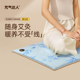元气达人 艾灸坐垫垫蒲团热敷包充电款可移动