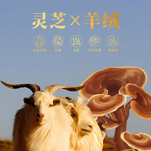 「自」全新升级【铂金会员119/天猫159/差价40】(03124)洛诗琳灵芝山羊绒加绒打底衫2025秋冬半高领防风保暖上衣女 商品图3