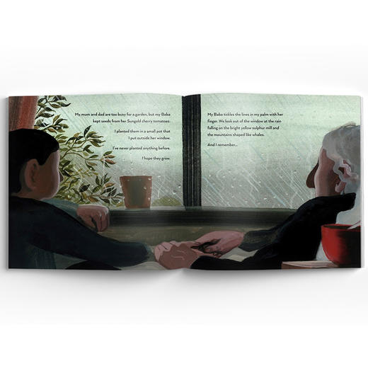 My Baba'S Garden 我外婆的花园 精装原版引进 商品图4