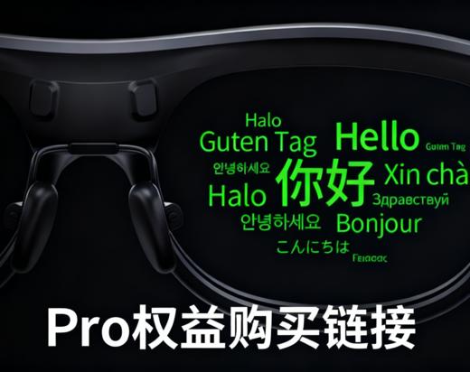 Pro权益购买链接 商品图0