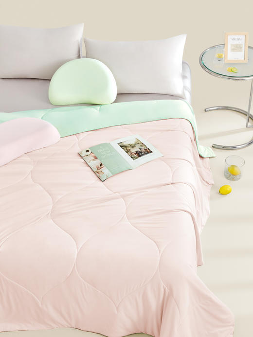 恐龙 柠檬薄荷躺倒夏被 商品图1