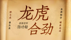 第一课-胯主横，有竖技术讲解