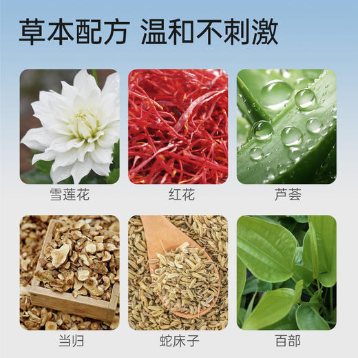 【润芯贴】草本植萃润芯贴排脏净养垫家用女士养护雪莲贴12片/盒 商品图3