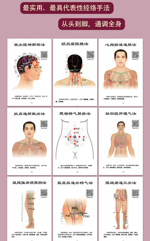 《2026顺时经络养生日课》 邓特伟医师著。丙午火年最新版！24节气·经络养生法，顺应时节，通调全身臟腑。顺时经络，自在生活；经络畅通，健康自愈。 商品图3