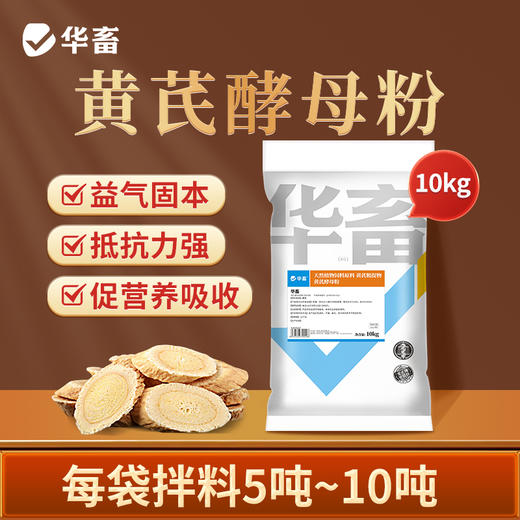 黄芪酵母粉20斤 益气固本补营养促吸收 商品图0