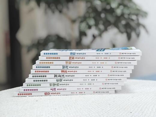 神州寻宝历险记  19册任选  小学生科学漫画书课外阅读书籍 北京重庆贵州河南黑龙江海南湖南吉林江苏内蒙古宁夏上海天津 商品图4