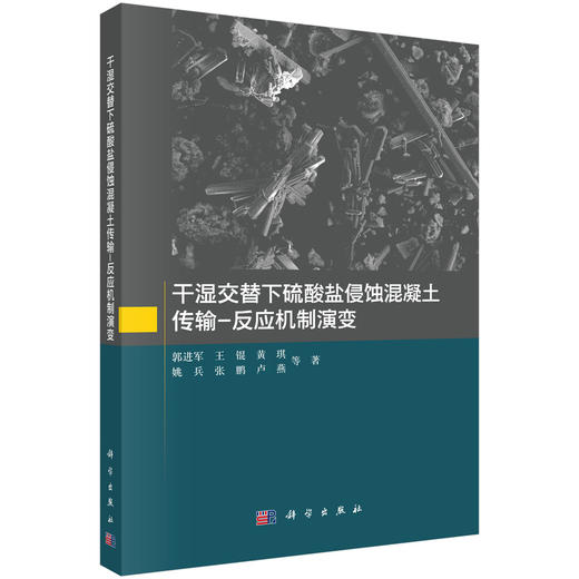 干湿交替下硫酸盐侵蚀混凝土传输-反应机制演变 商品图0