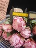 新西兰进口粉莎拉芍药花 商品缩略图2