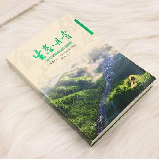 生态丹青——生态文明建设典型案例 &3350 商品图2