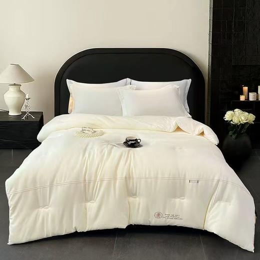 2025冬被新品系列 千层云耳加厚大豆被 商品图0