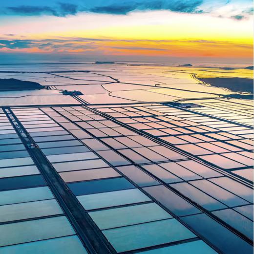 [盐化集团]【活虾速冻】3斤复州湾盐场盐田虾(有大有小) 商品图3