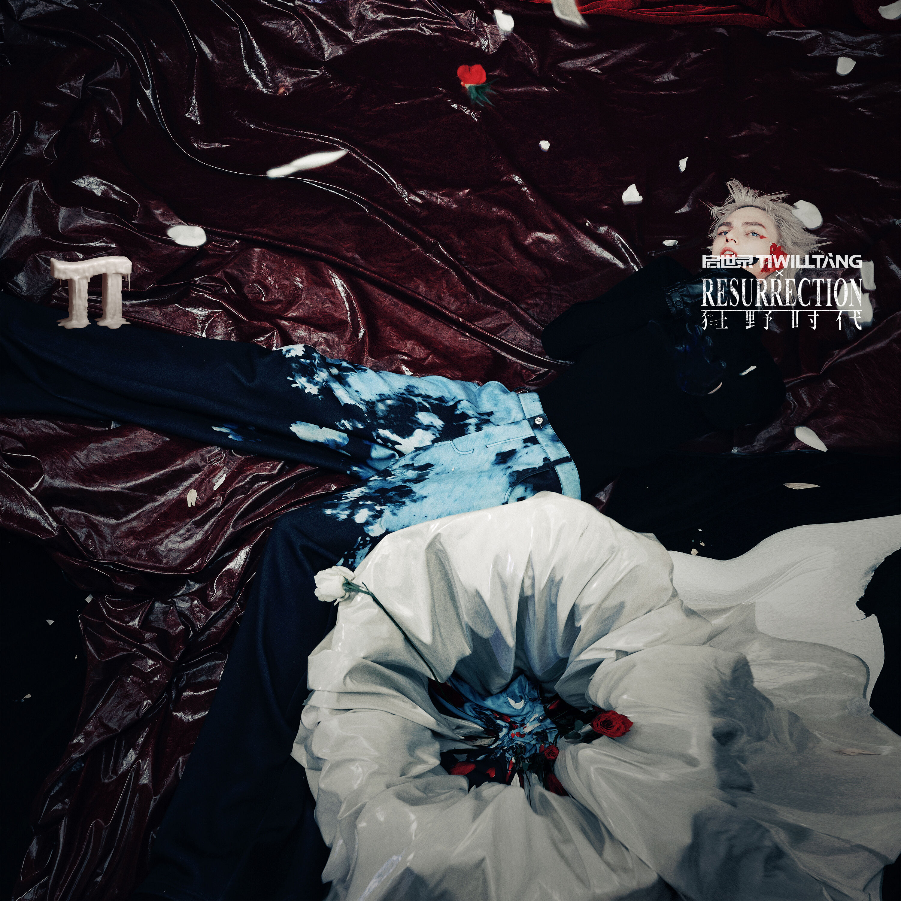 【启世录TIWILLTANG】x《狂野时代》联名系列【墨染星辰】浮光共逝印花卫裤