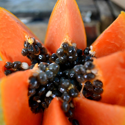 【优琦】树上熟木瓜4.5斤彩箱装
（2-4个，净重4.5±0.2斤） 商品图2