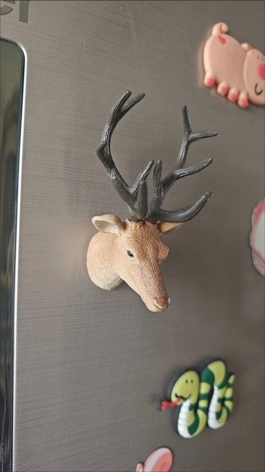 野生动物3D冰箱贴 装饰磁吸创意冰箱贴 商品图5