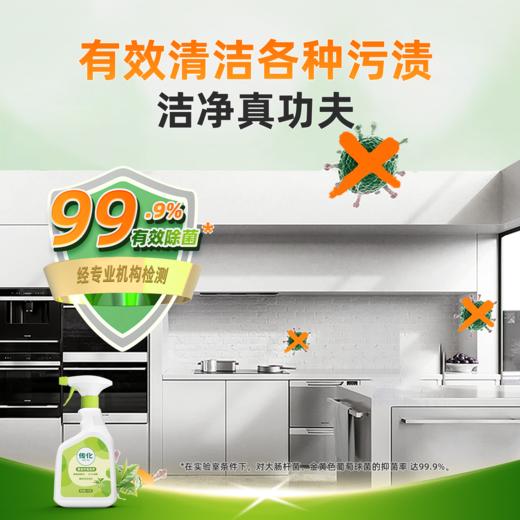 传化1kg重油污泡泡净 商品图2