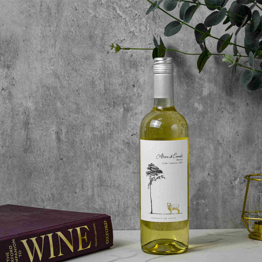 白衣骑士无醇起泡白葡萄汁 商品图1