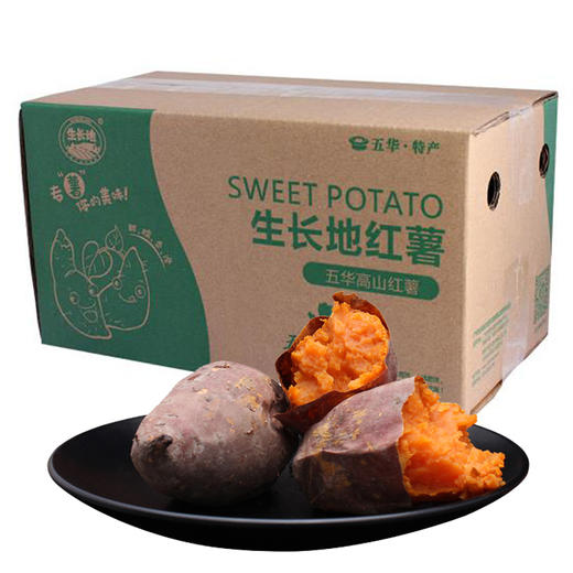 【梅州帮扶】生长地五华高山红薯 （小蜜薯） 5斤装 商品图0