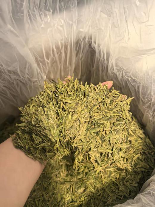 【茗】杭州明前龙井茶 商品图5