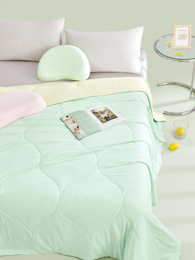 恐龙 柠檬薄荷躺倒夏被
