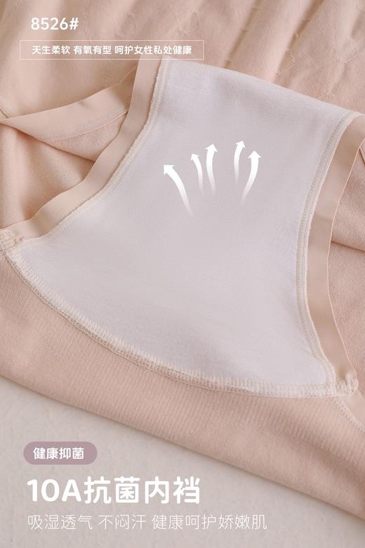 女士加肥加大丰满裤高弹力无缝舒适内裤三角裤8526 商品图4
