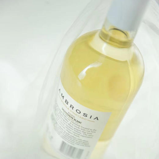 安博干白 商品图4