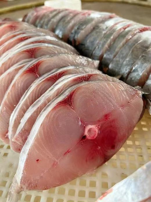 & 豪华大肉片马鲛鱼！无小刺！老少都爱吃活冻 商品图0