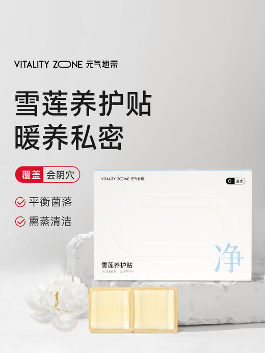 【润芯贴】草本植萃润芯贴排脏净养垫家用女士养护雪莲贴12片/盒 商品图0