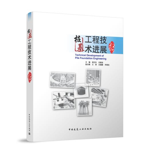 桩基工程技术进展2025 商品图0