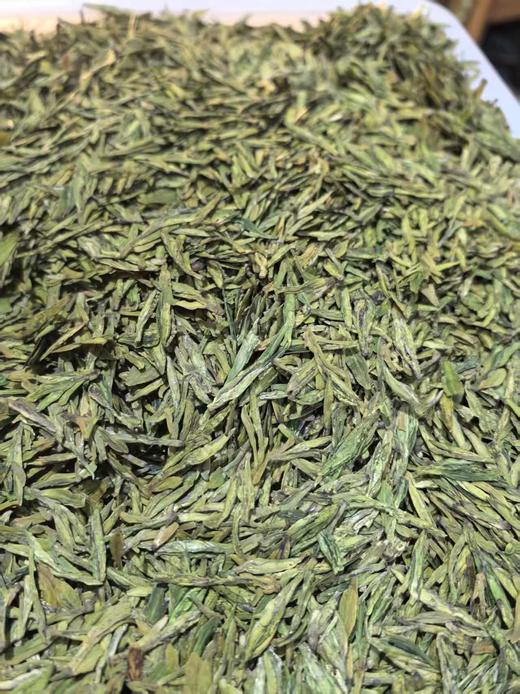 【茗】2025年明前龙井茶 （口粮茶） 商品图5