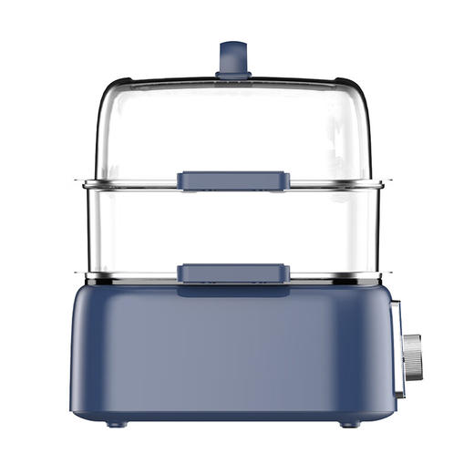 九阳电蒸锅DZ100HG-GZ666 商品图2