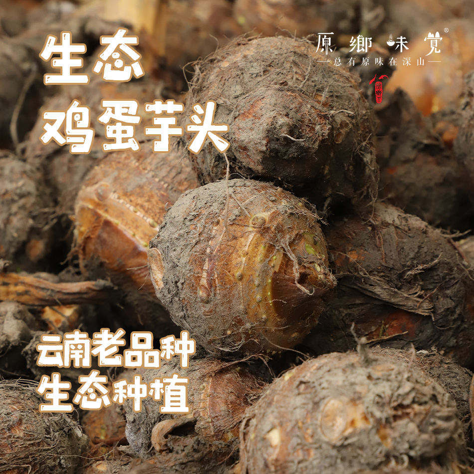 【现挖，排单发货】生态鸡蛋芋头（基地直发-中通包邮）|4斤/箱，来自云南大理州，生产者：谢雪梅【合作生产，公平贸易】