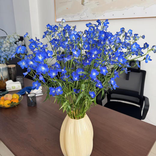 小飞燕.蓝色普雷斯顿 商品图1