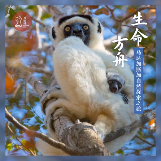 「早鸟价 · 2026.7.30-8.8」生命方舟 · 马达加斯加自然探索之旅 商品图0