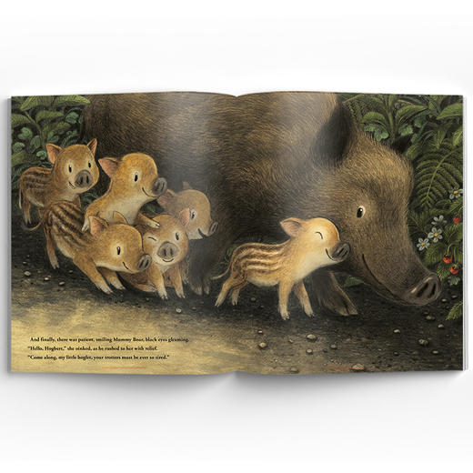 Hogbert 霍格伯特 商品图4