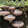 热销【自营】庆元香菇干货 椴木散育野冬菇 商品缩略图0